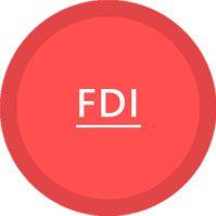 Faculty Development Initiatives (FDI)